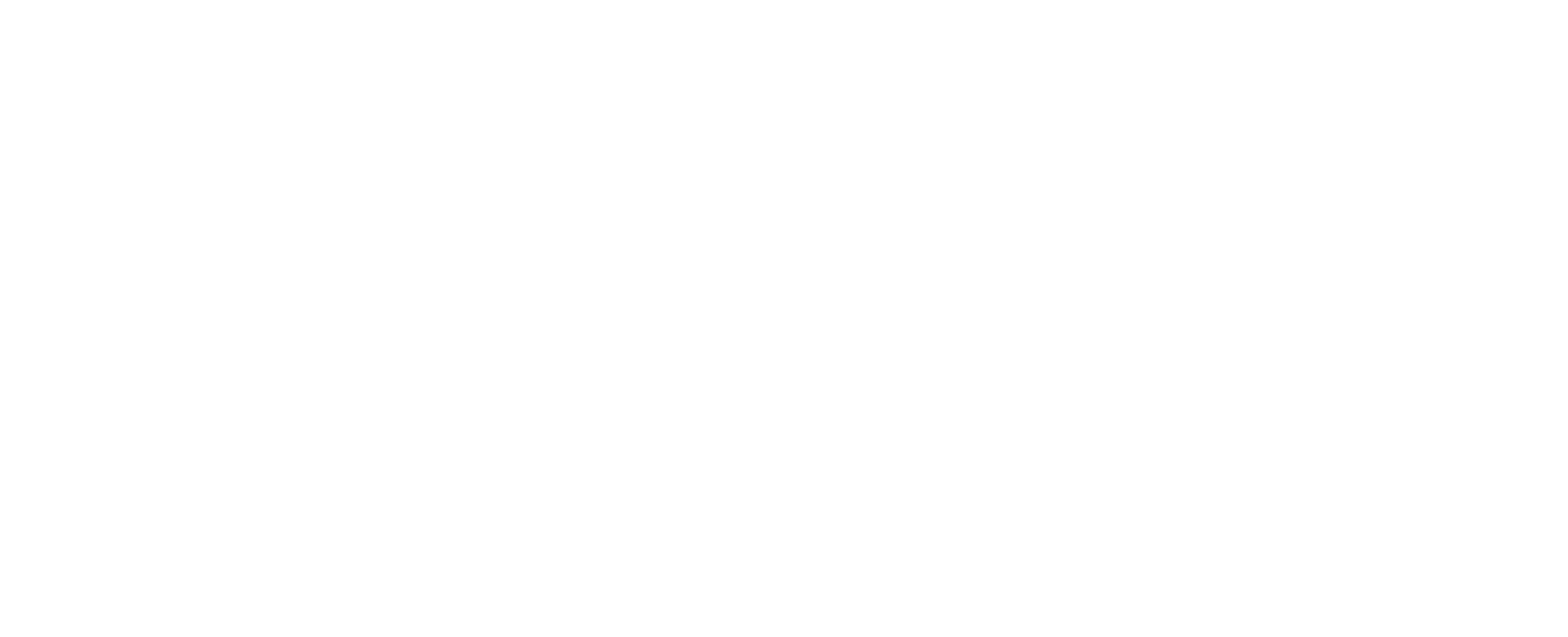 Magis Capital Partners